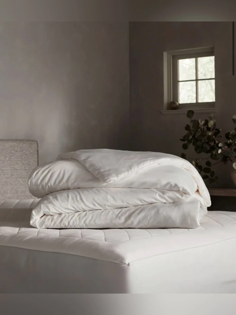 Cozy Earth Silk Comforter - King/California King - NWOT
